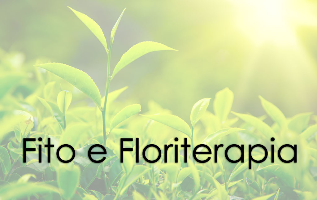 Fito e Floriterapia